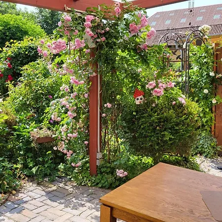 Apartment Dörpschipper